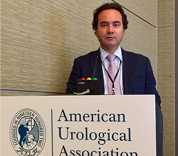 Studies on Peyronie's Disease