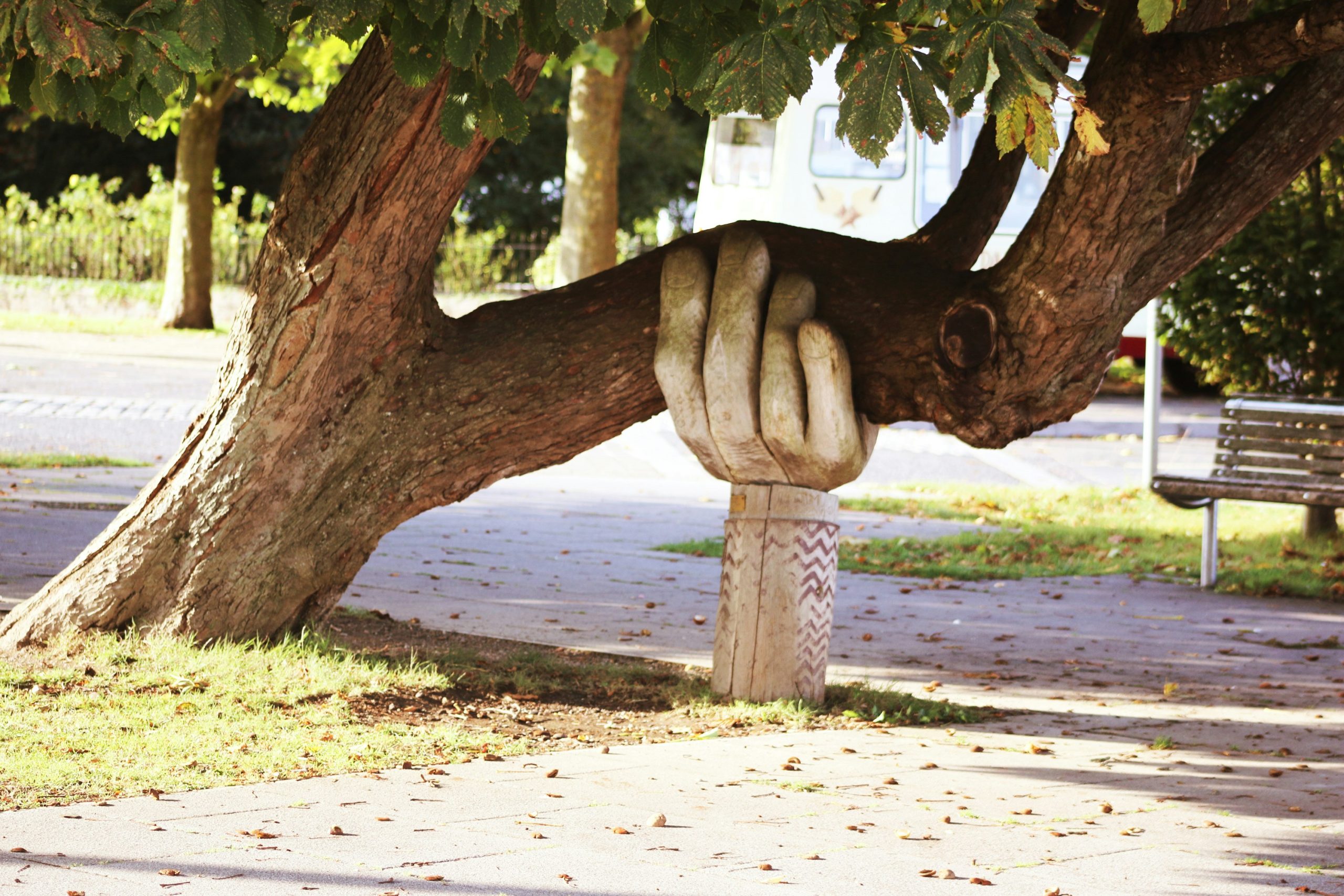 Árvore seca e sem folhas num ambiente escuro, simbolizando perda de vitalidade e fragilidade emocional devido a erecção fraca.